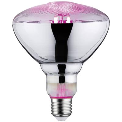 Paulmann LED-plantenlamp groei 230 V E27 6.5 W Barnsteen 1 stuk(s) Paulmann LED-plantenlamp groei 230 V E27 6.5 W Barnsteen 1 stuk(s)