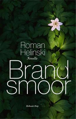 Brandsmoor - Roman Helinski - ebook