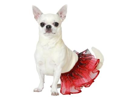 Kostuum voor honden Maat S Tutu