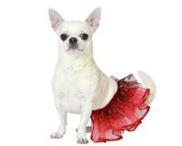 Kostuum voor honden Maat S Tutu - thumbnail