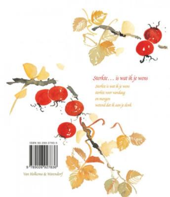 Sterkte ... is wat ik je wens (Hardback)