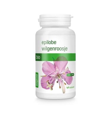 Purasana Biologische Wilgenroosje 230mg Purasana Biologische Wilgenroosje 230mg