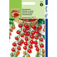 Kerstomaat super sweet - thumbnail