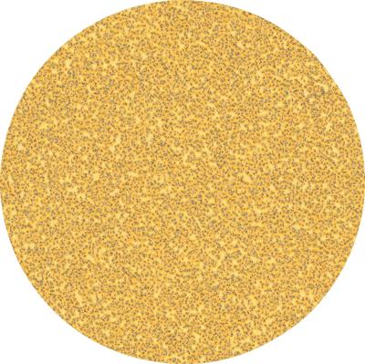 Bosch Accessories EXPERT C470 2608900951 Schuurpapier voor schuurschijf Ongeperforeerd Korrelgrootte (num) 40 (Ø) 125 mm 50 stuk(s) Bosch Accessories EXPERT C470 2608900951 Schuurpapier voor schuurschijf Ongeperforeerd Korrelgrootte (num) 40 (Ø) 125 mm 50 stuk(s)
