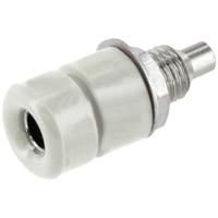 econ connect TB40WS Inbouwbus Bus, inbouw Wit 1 stuk(s) Bulk - thumbnail