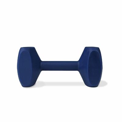 Dumbbell Coachi TRAINING DUMBBELL Blauw