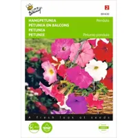 Petunia, hangend gemengd - thumbnail