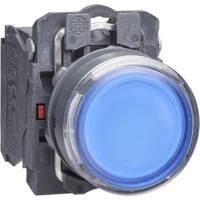 Schneider Electric XB5AW36M5 XB5AW36M5 Verlichte druktoets 600 V 6 A Moment (l x b x h) 57 x 30 x 42 mm IP66, IP67, IP69, IP69K 1 stuk(s) - thumbnail