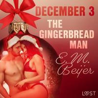 December 3: The Gingerbread Man - An Erotic Christmas Calendar - thumbnail