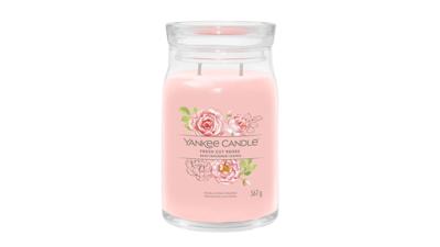Yankee Candle fresh cut roses large jar