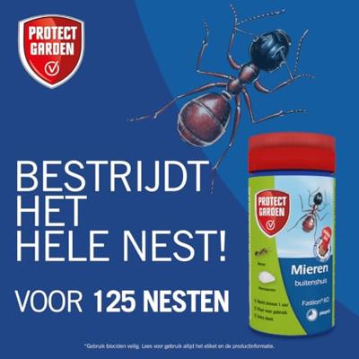 Fastion KO Mierenpoeder 250g