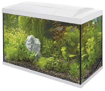 Superfish Start 70 Tropical Kit Wit - 60L Compleet Aquarium met LED, Filter & Heater