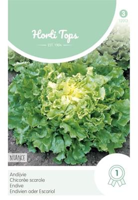 Zaden Andijvie Nuance Hortitops - Hortitops