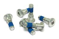 TRW bouten set screw set 6pcs. m8x1,25 - thumbnail