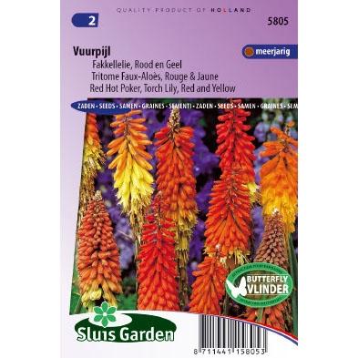 Kniphofia Uvaria zaden Fakkellelie vuurpijl Kniphofia Uvaria zaden Fakkellelie vuurpijl