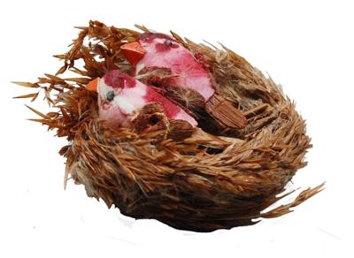 Darice • vogeltje & vogelnestje