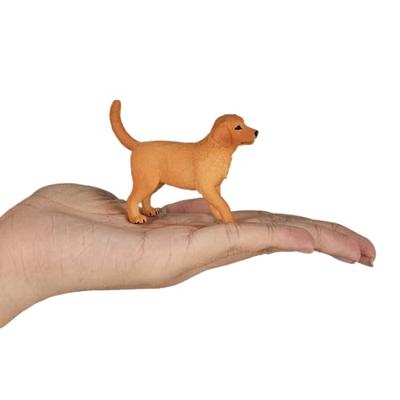 Mojo farmland golden retriever puppy 387205 - thumbnail