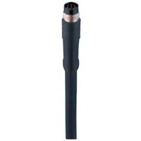 Belden 934636169-1 Sensor/actuator connector, geassembleerd M8 Aantal polen (sensoren): 8 Stekker, recht 2.00 m 1 stuk(s) - thumbnail