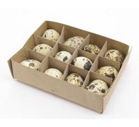 Paasdecoratie Kwarteleitjes 12st - thumbnail