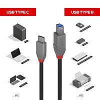 Lindy 36666 USB-kabel 1 m USB 3.2 Gen 1 (3.1 Gen 1) USB C USB B Zwart - thumbnail