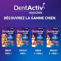 DentActiv - 12 Sticks - VETOCANIS - 12 Mini Rundvlees Mondhygiëne Sticks voor Honden 2-15kg - thumbnail