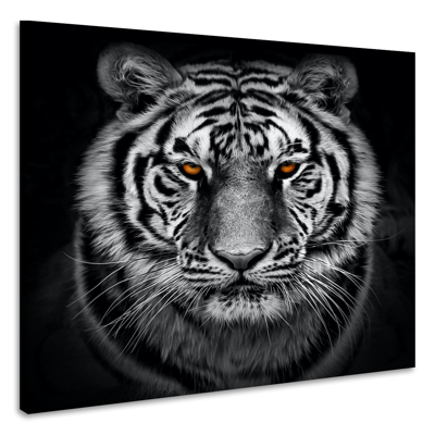 Schilderij - Tijger in zwart en wit met oranje ogen, premium print, 3 maten