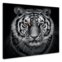 Schilderij - Tijger in zwart en wit met oranje ogen, premium print, 3 maten - thumbnail