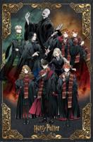Poster Harry Potter - Wizard Dynasty Characters 61x91,5cm - thumbnail