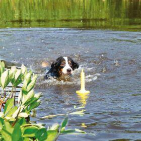 Trixie dog activity mot-aqua apporteer dobber limegroen