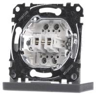 Merten MEG3055-0000 Knop Inzetstuk 2-voudig 1 stuk(s) - thumbnail