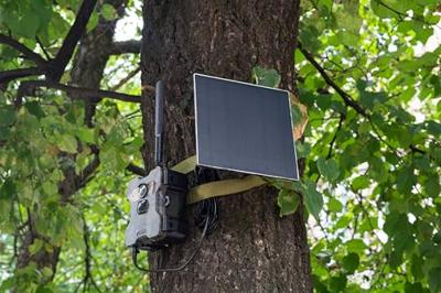 Technaxx TX-189 Wildcamera 4G beeldoverdracht, No Glow LEDs, Geluidsopnames Groen-bruin, Groen-zwart (fluorescerend) - thumbnail