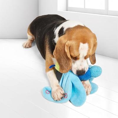Fofos jumbo butterfly blue