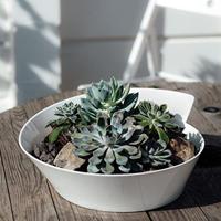 VILLEROY & BOCH - Newwave - Slaschaal/Terrine 4,50l - thumbnail