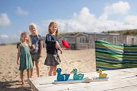 BS Toys eendjes op rij - werpspel - thumbnail