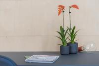 Sierpot Charlie XXS zwart - thumbnail