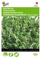 Buzzy® Wintertijm Zaden - thumbnail