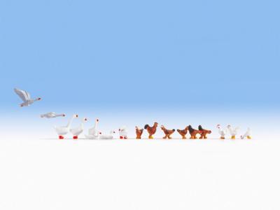 NOCH 15772 H0 Kippen en ganzen figuren Geverfd, Staand