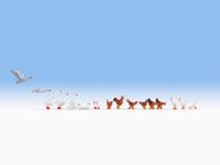 NOCH 15772 H0 Kippen en ganzen figuren Geverfd, Staand - thumbnail