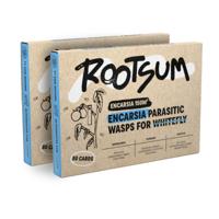 ENCARSIA | Sluipwespen tegen witte vlieg 300 m² - thumbnail