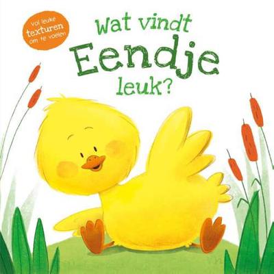 Rebo Publishers Voelboek - wat vindt eendje leuk?