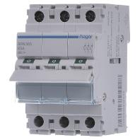 Hager SBN363 Uitschakelaar 3-polig 63 A 3x NO 400 V - thumbnail