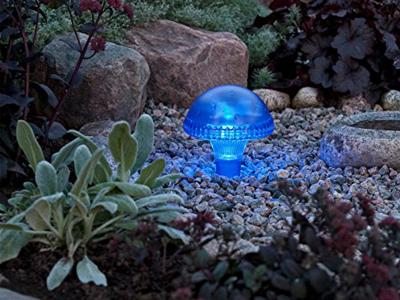 Led solarlamp assisi paddestoel blauw