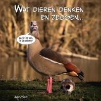 Wat dieren denken en zeggen - Jesse van der Heyden, Haye van der Heyden - ebook - thumbnail
