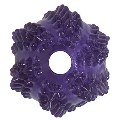 JW Puppy - Bristl-ee Cactus Ball