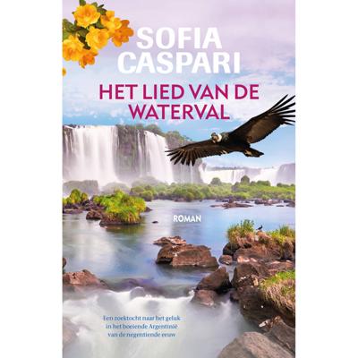 Het lied van de waterval (Paperback)