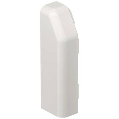 OBO Bettermann SL ESli2070 cws voor Eindstuk Wit 1 stuk(s)