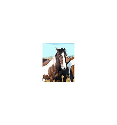 Animal Essences Wild horse (wild paard) 30 Milliliter Animal Essences Wild horse (wild paard) 30 Milliliter