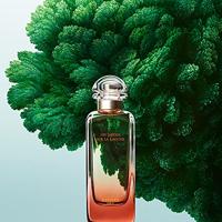 Hermès - Hermes Un Jardin Sur La Lagune Eau de toilette Spray 100 ml - thumbnail