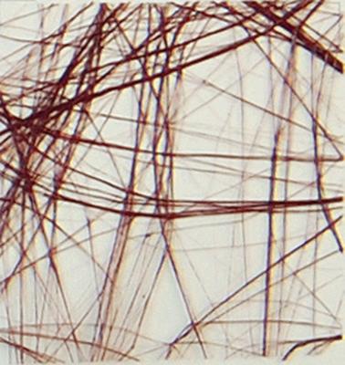 Vaessen Creative • sizoweb 5mx30cm in koker chocoladebruin