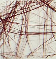 Vaessen Creative • sizoweb 5mx30cm in koker chocoladebruin - thumbnail